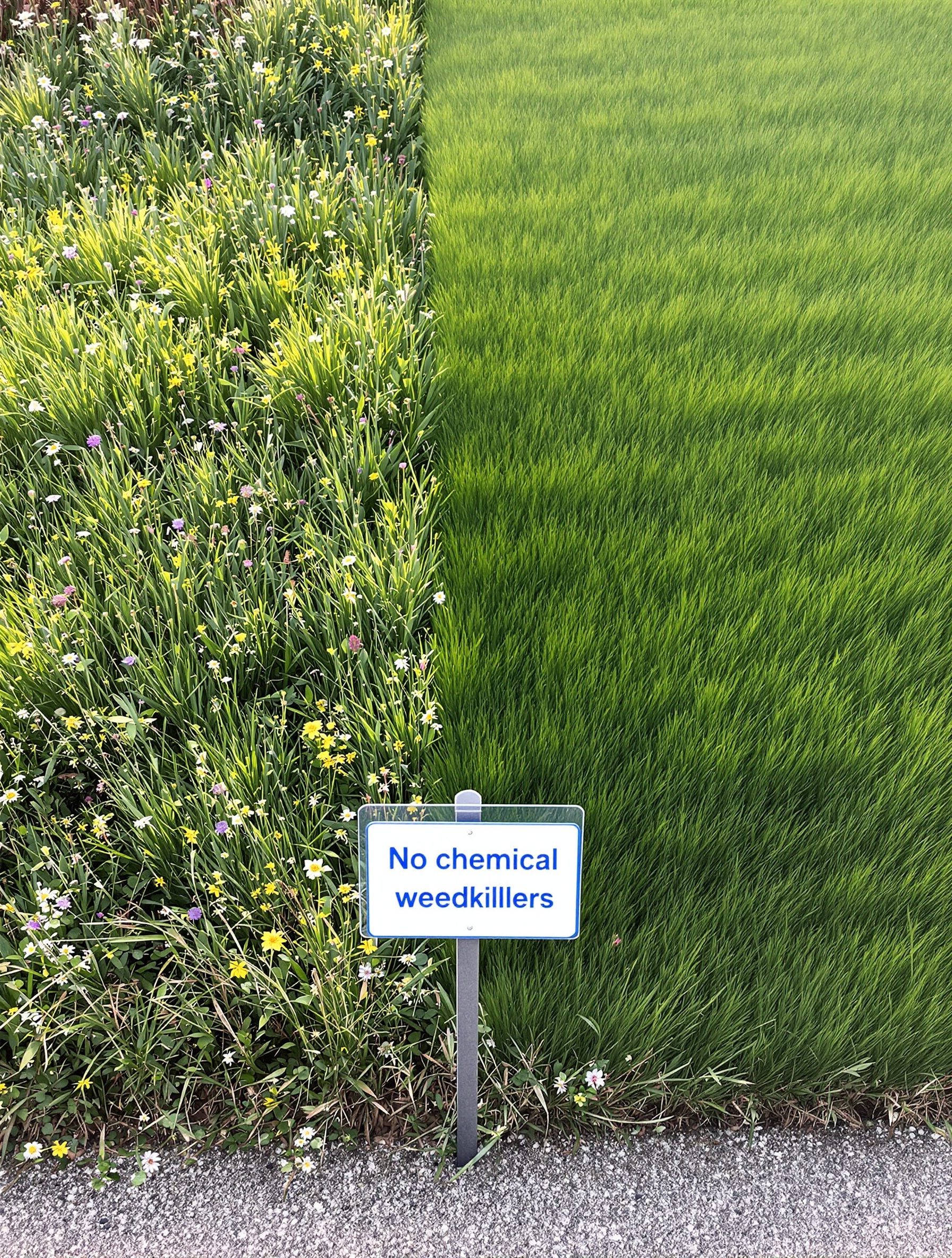 Jardin contemporain avec pelouse vivante et panneau interdiction désherbant chimique