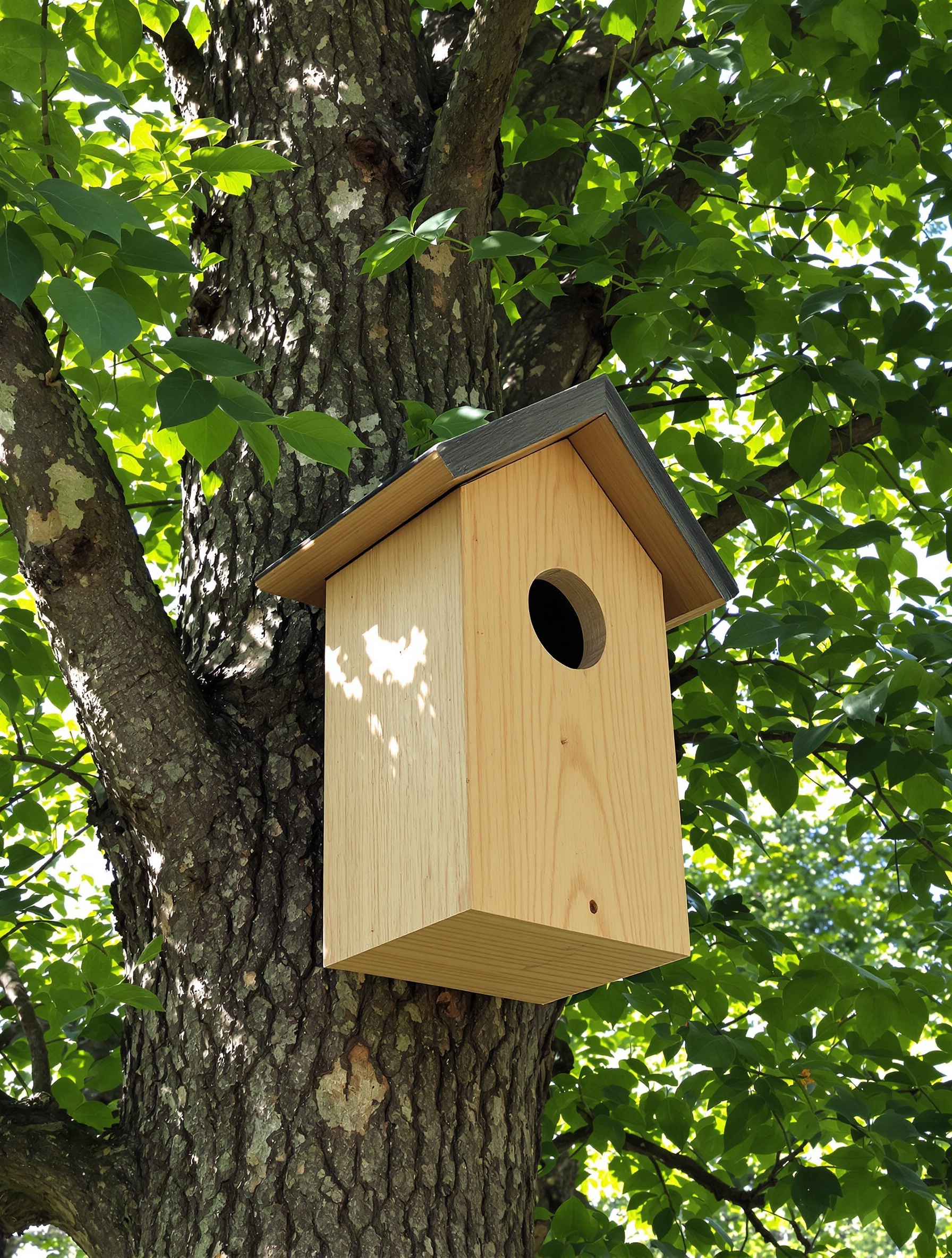 Nichoir bois naturel idéalement orienté est dans jardin calme.